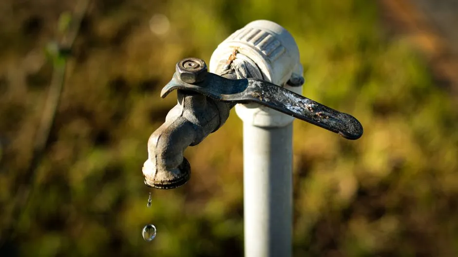 How to Fix a Leaky Faucet in Springfield, VA: Professional Repair vs. Full Replacement