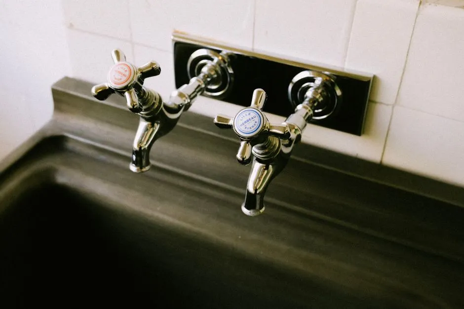 Leaky Faucet Repair in Flag Run