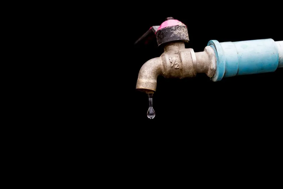 Leaky Faucet Repair in Meadowood